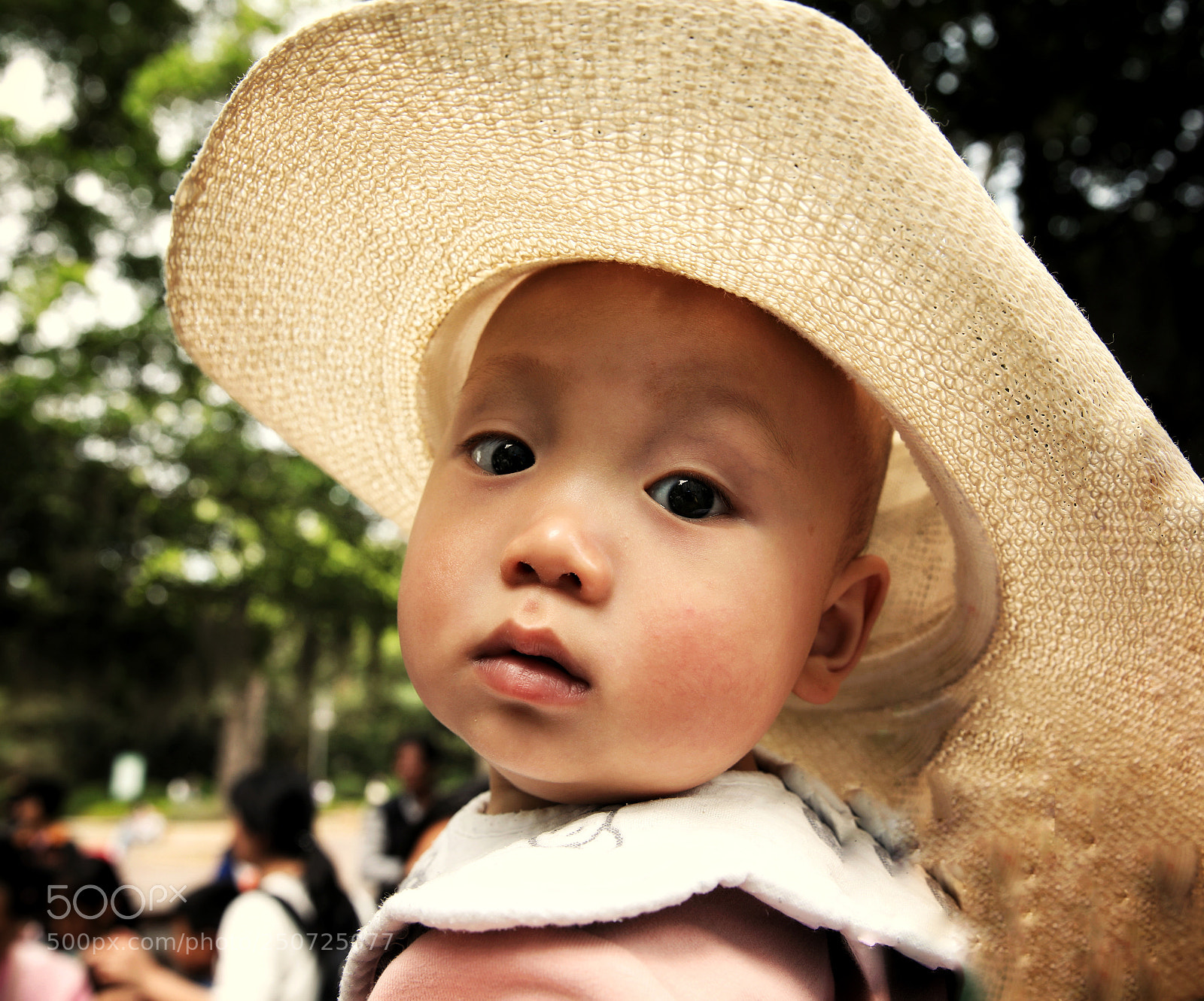 Canon EOS 5D Mark IV sample photo. Untitled photography