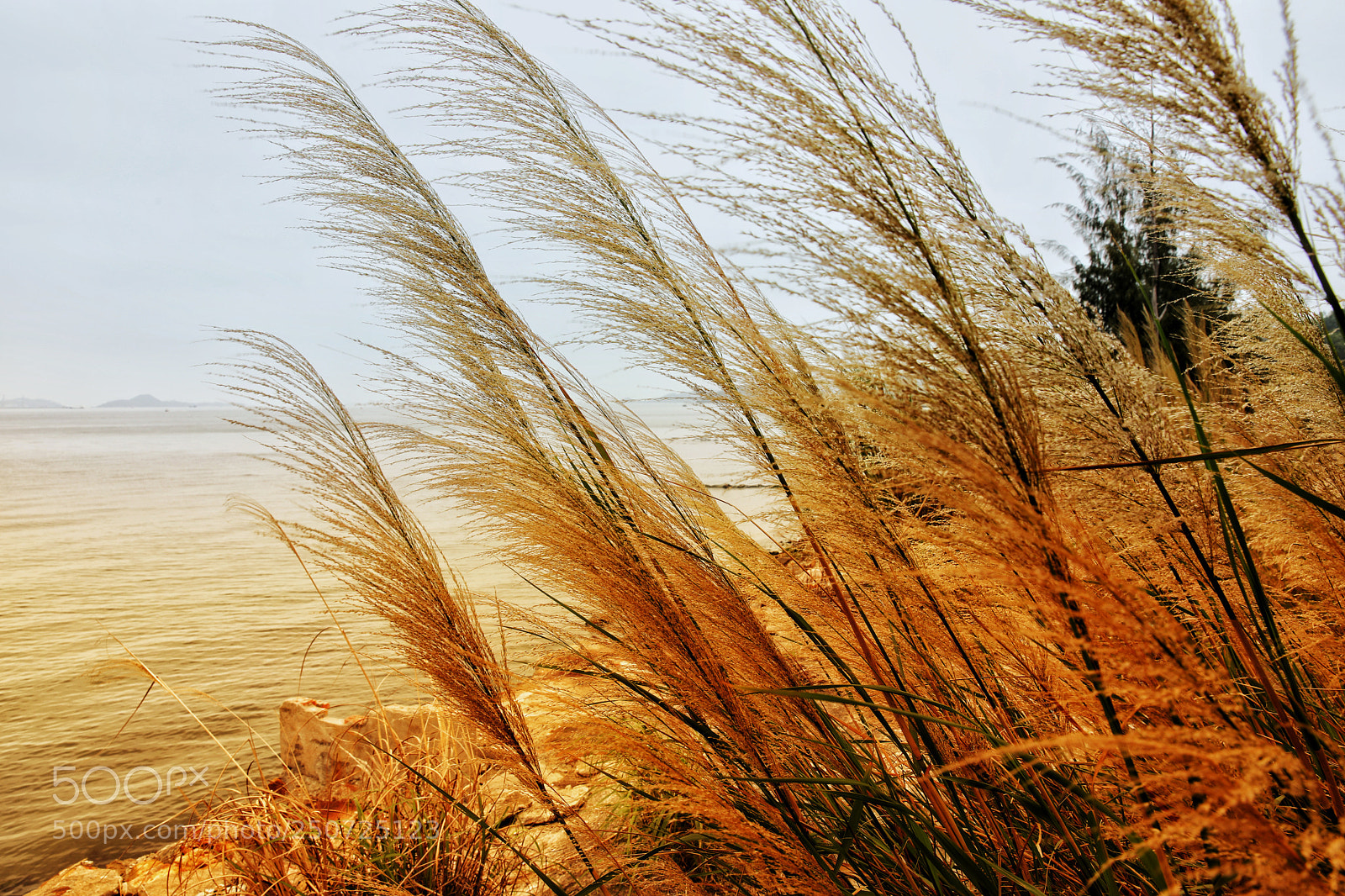 Canon EOS 5D Mark IV sample photo. Untitled photography