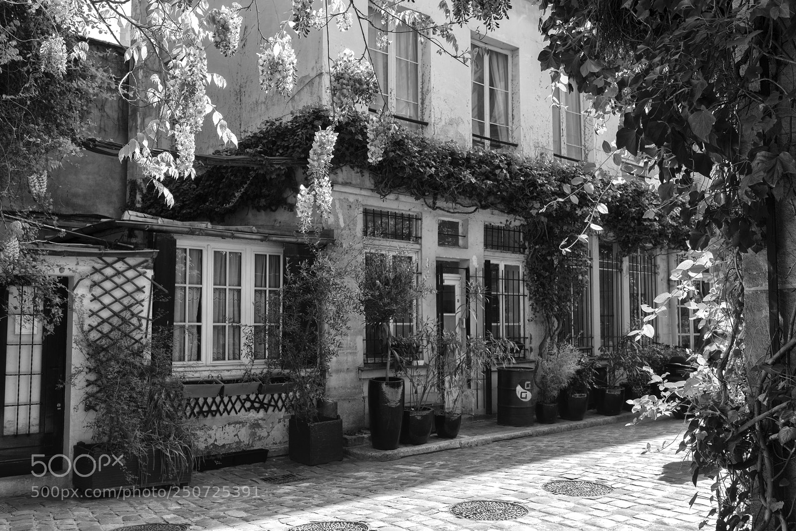 Nikon D800 sample photo. Paris 10e photography