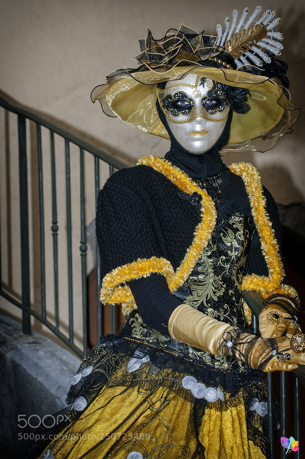 Nikon D300 sample photo. Carnaval vénitien d'annecy photography
