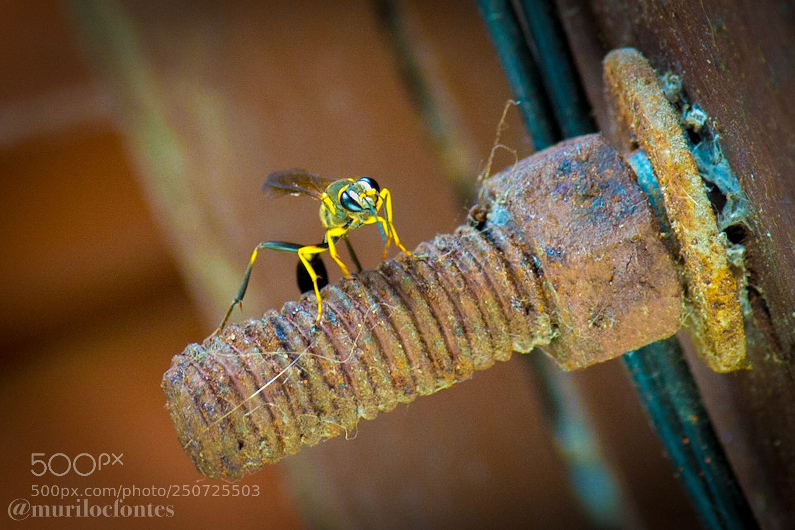 Nikon D3100 sample photo. Untitled photography