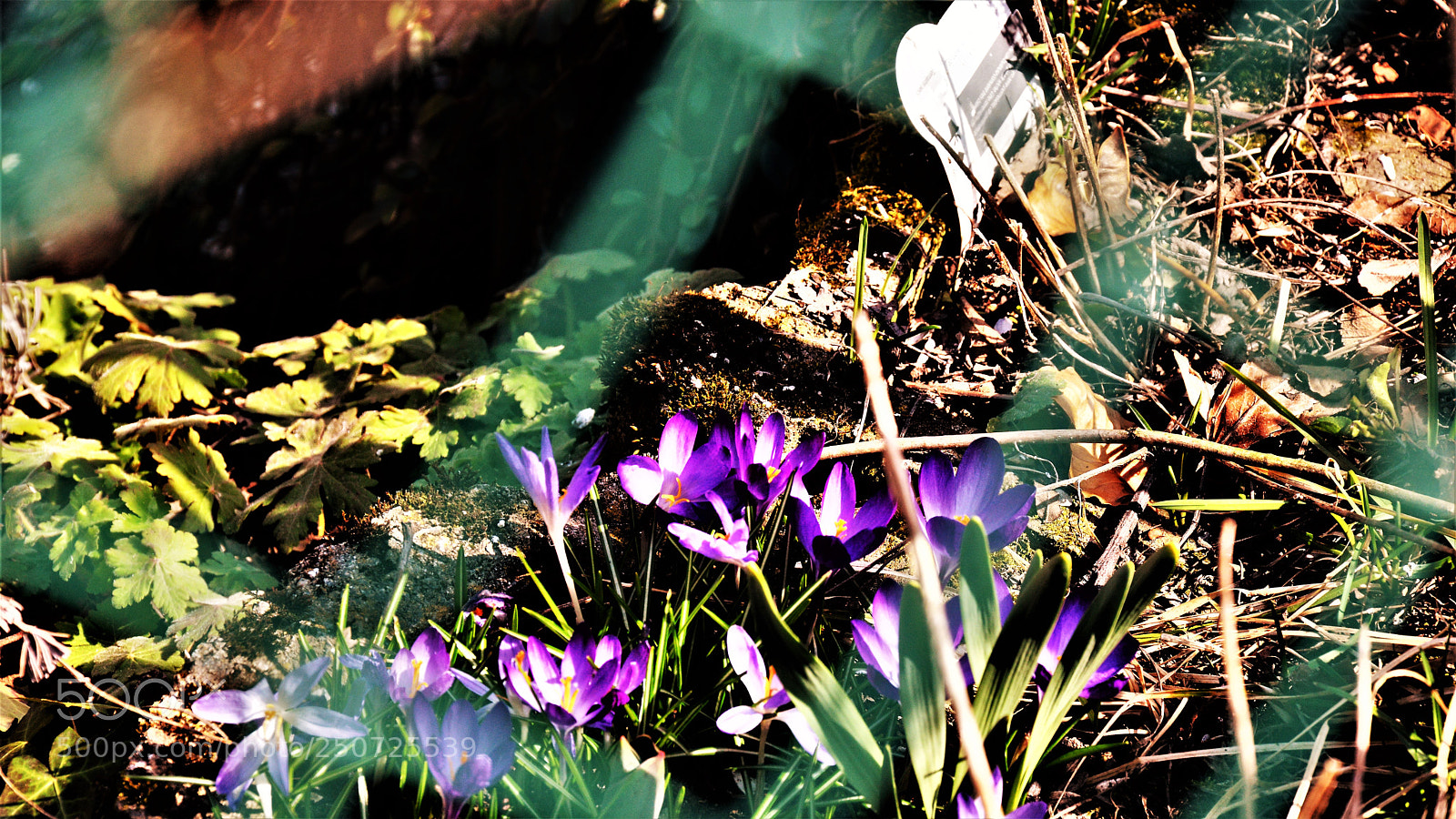 Nikon D3200 sample photo. Untitled photography