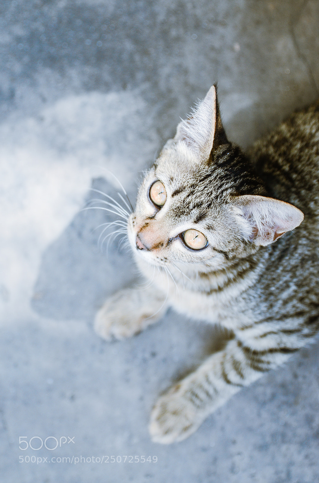 Nikon D7000 sample photo. Light photography