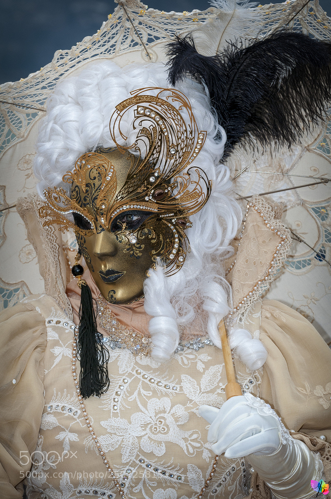 Nikon D300 sample photo. Carnaval vénitien d'annecy photography