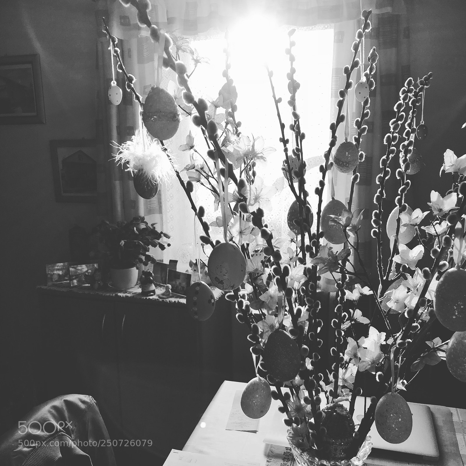 Apple iPhone X sample photo. Sundaysun....evening....thank god!!!
 photography
