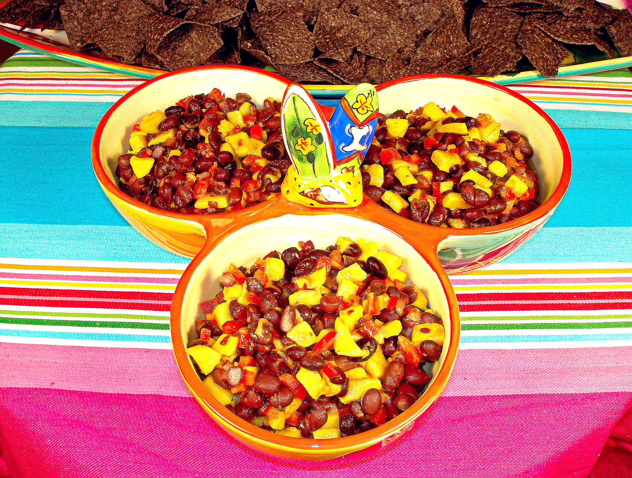 Sony DSC-W1 sample photo. Mango and black bean salsa photography