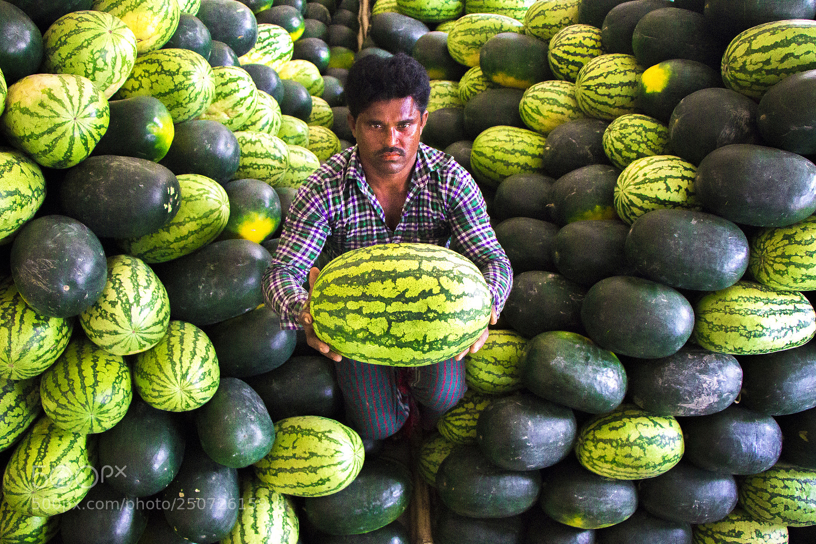 Canon EOS 70D sample photo. Life with watermelons photography