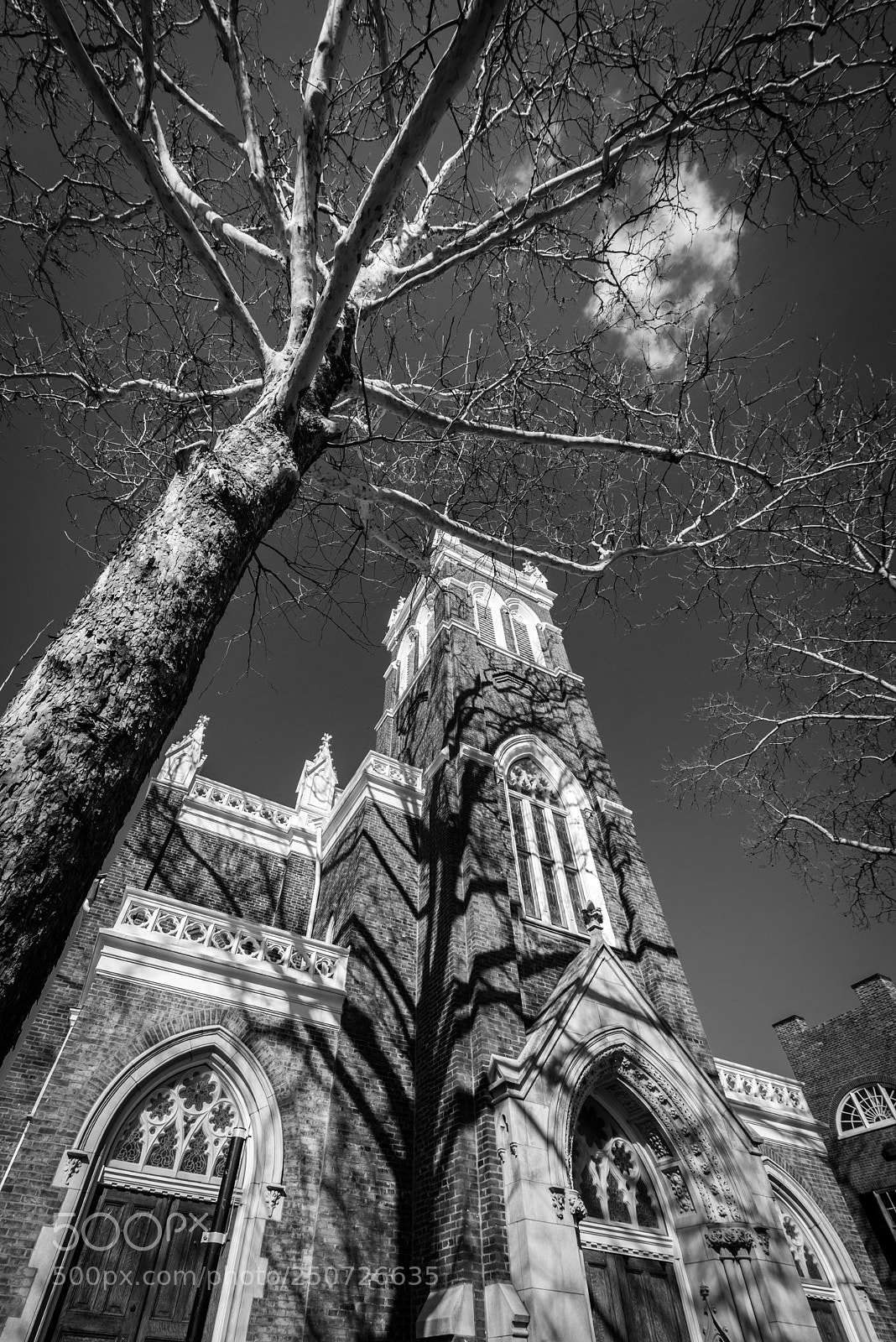 Nikon D800 sample photo. Christ episcopal church photography
