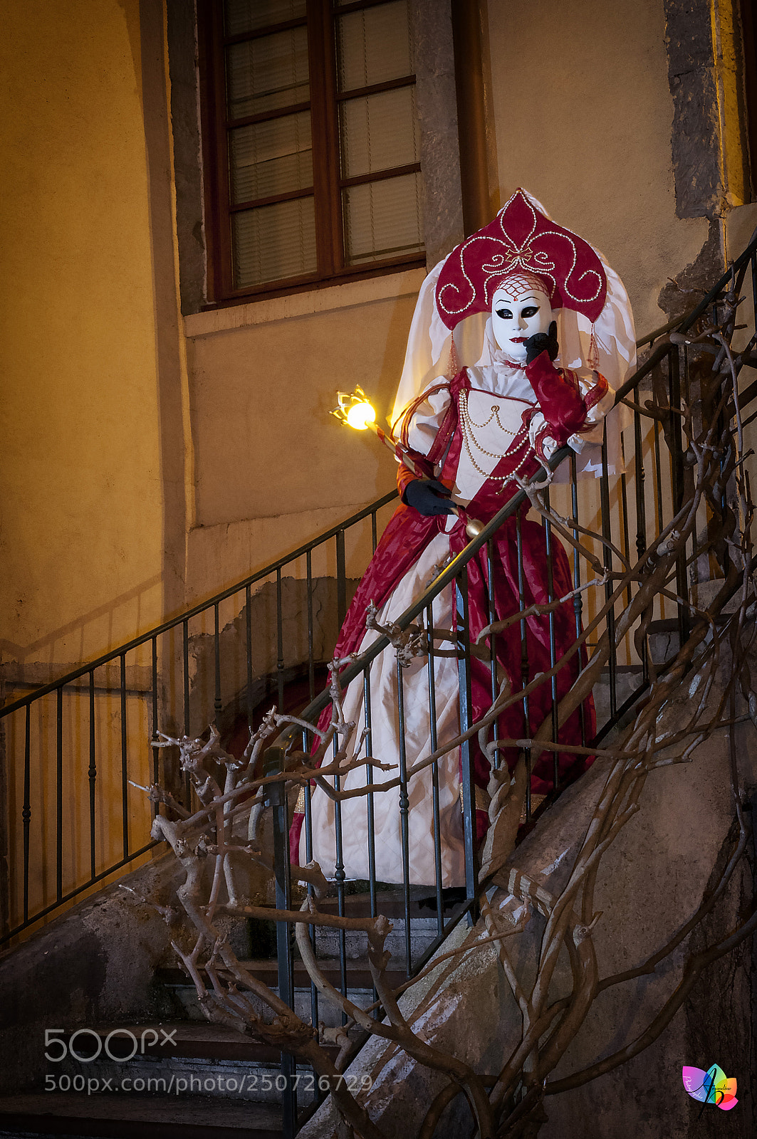 Nikon D300 sample photo. Carnaval vénitien d'annecy photography
