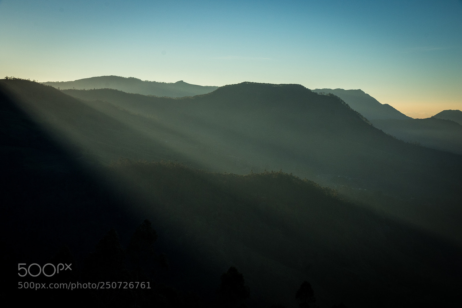 Canon EOS 7D Mark II sample photo. Morning bliss photography