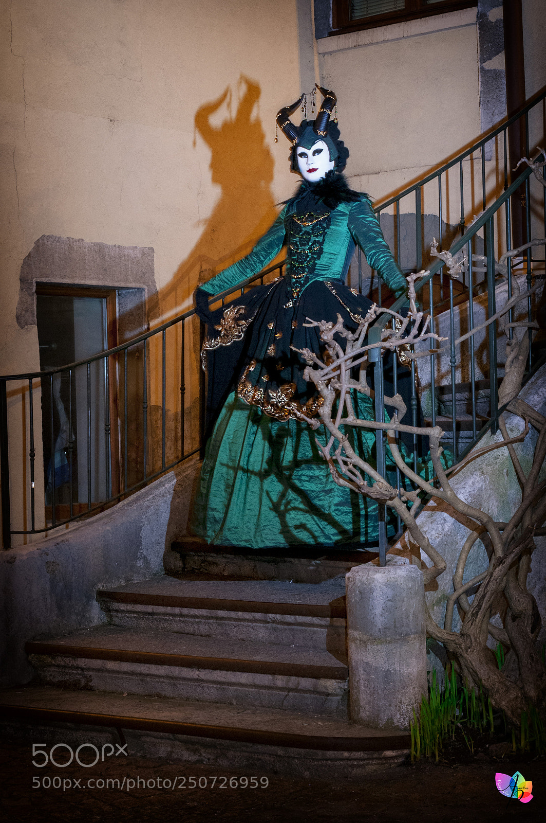 Nikon D300 sample photo. Carnaval vénitien d'annecy photography