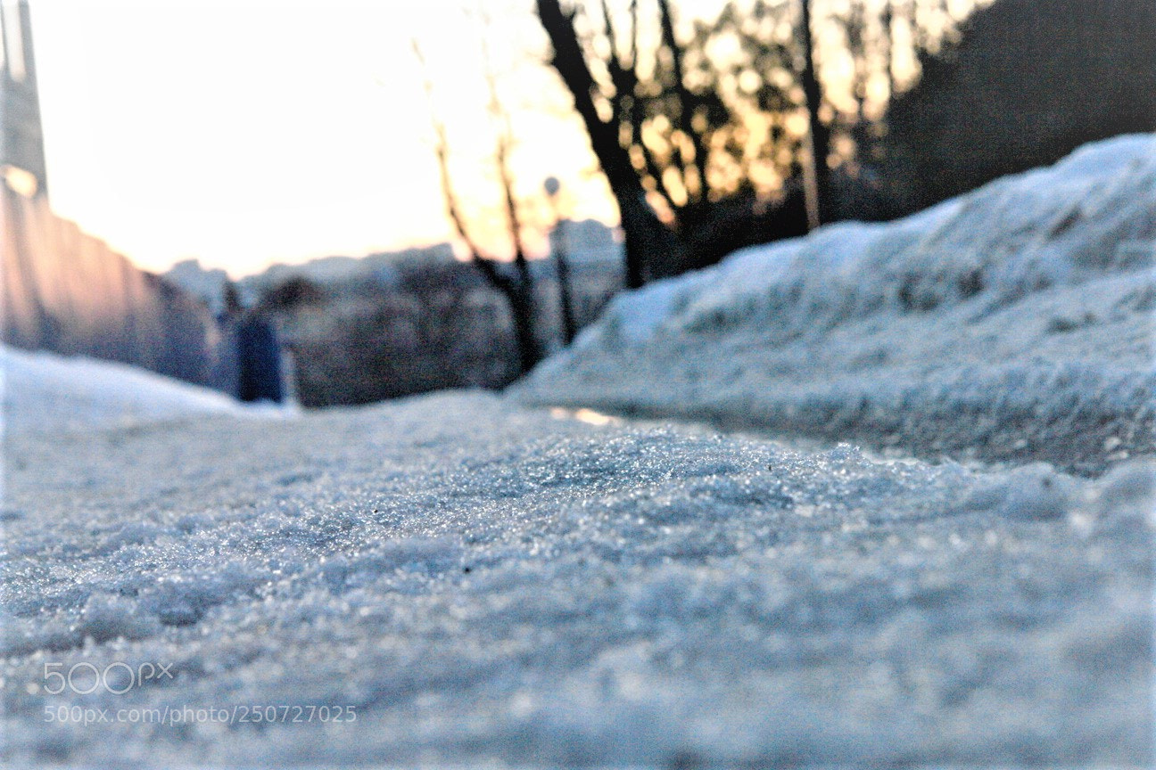 Sony DSC-R1 sample photo. Winter sunset. photography