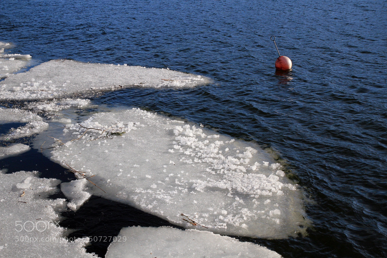 Canon EOS 7D sample photo. Waiting for the summer photography