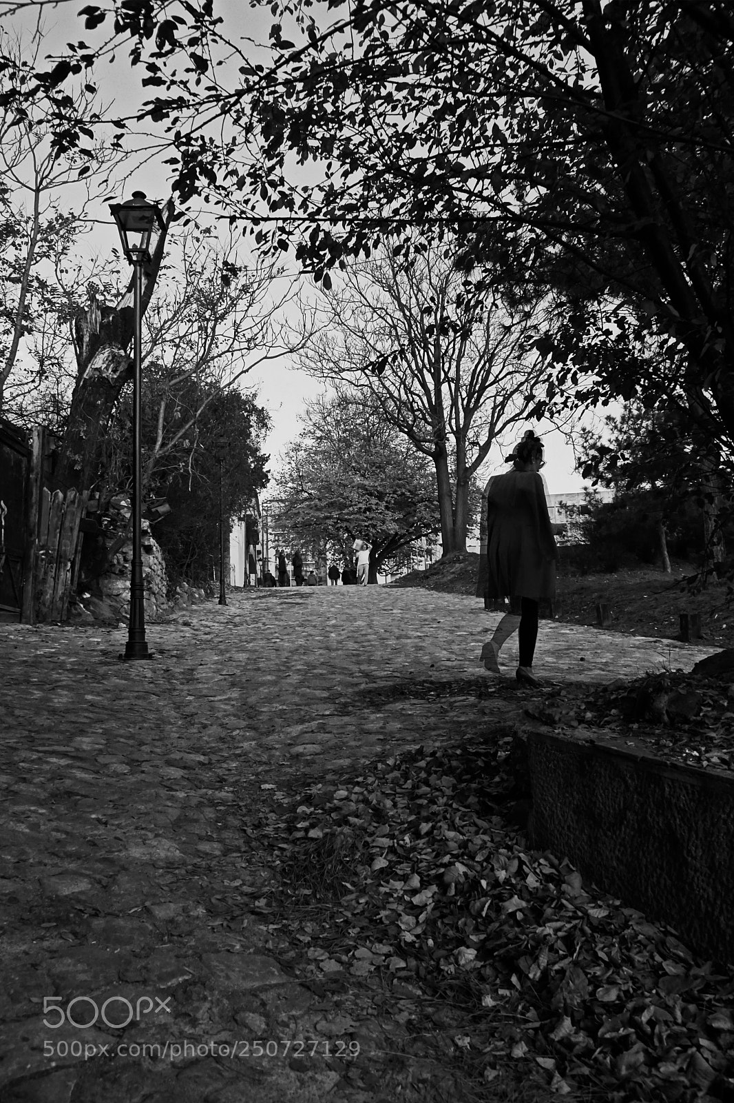 Sony a6000 sample photo. Walk away... photography