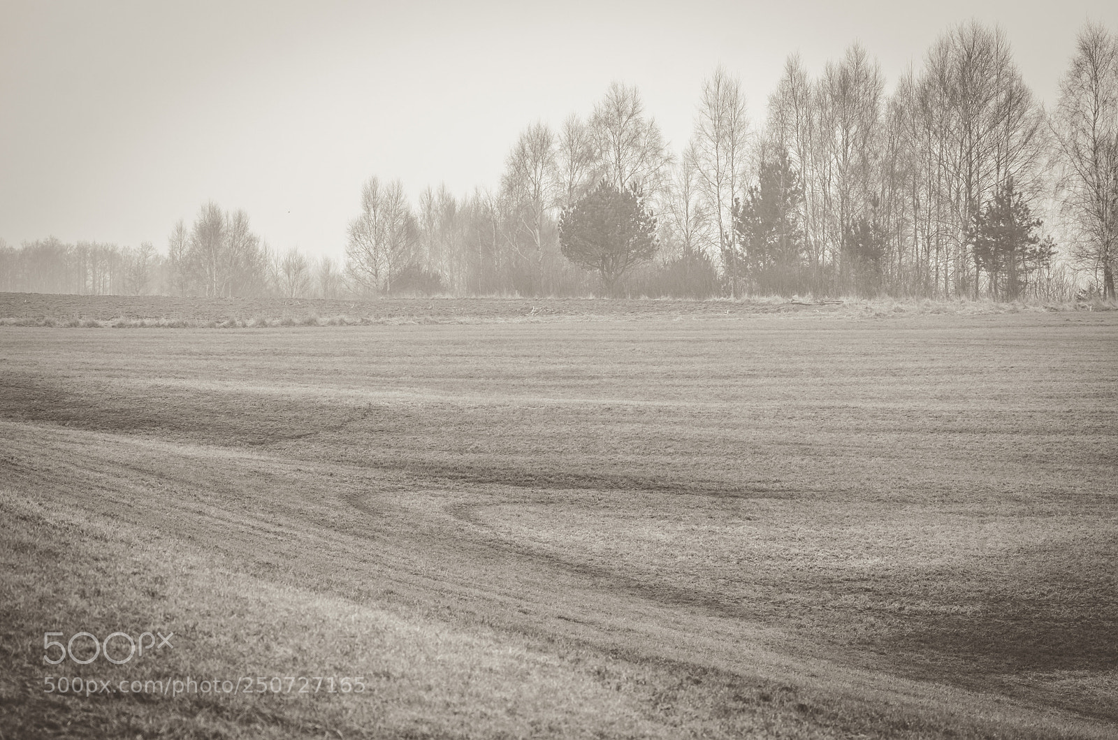 Nikon D7000 sample photo. B&w photography