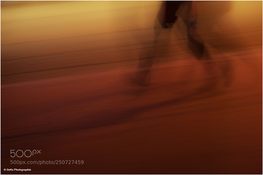 Canon EOS 5D Mark II sample photo. On the run photography