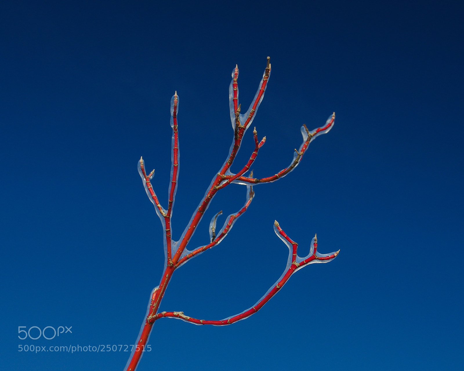 Pentax K-3 II sample photo. Icy hot photography