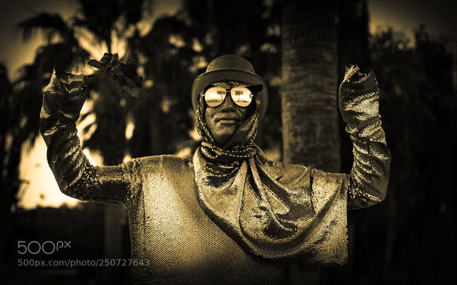 Nikon D5300 sample photo. Golden dude!! photography