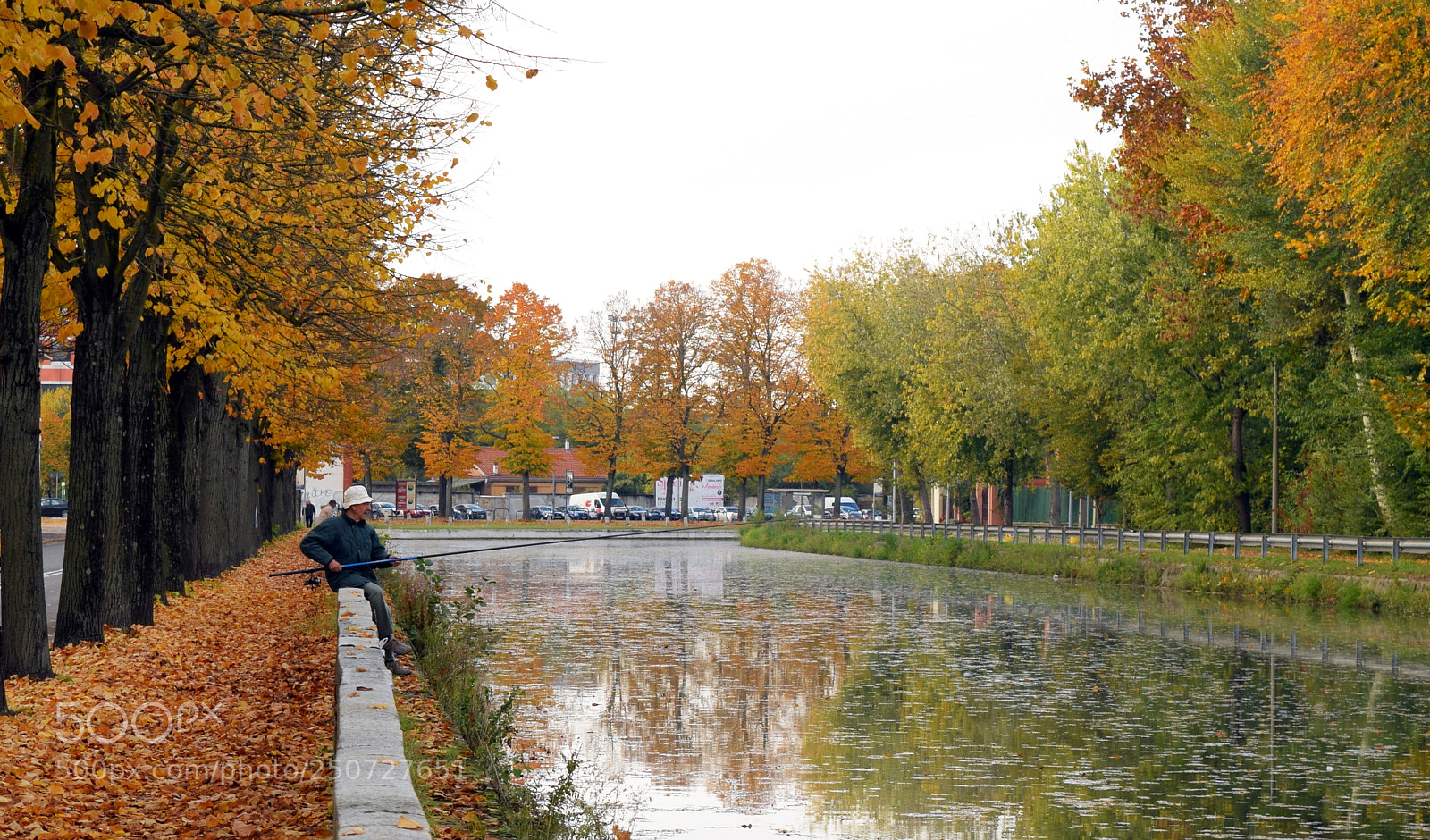 Nikon D3300 sample photo. Naviglio di pavia, viale photography