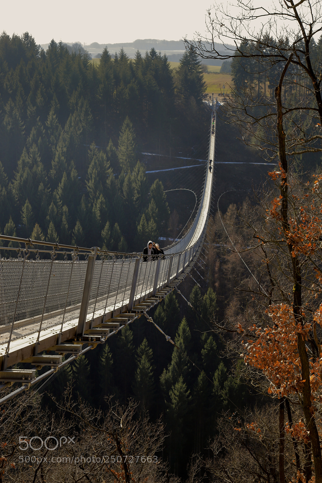 Canon EOS 6D Mark II sample photo. Suspended bridge photography