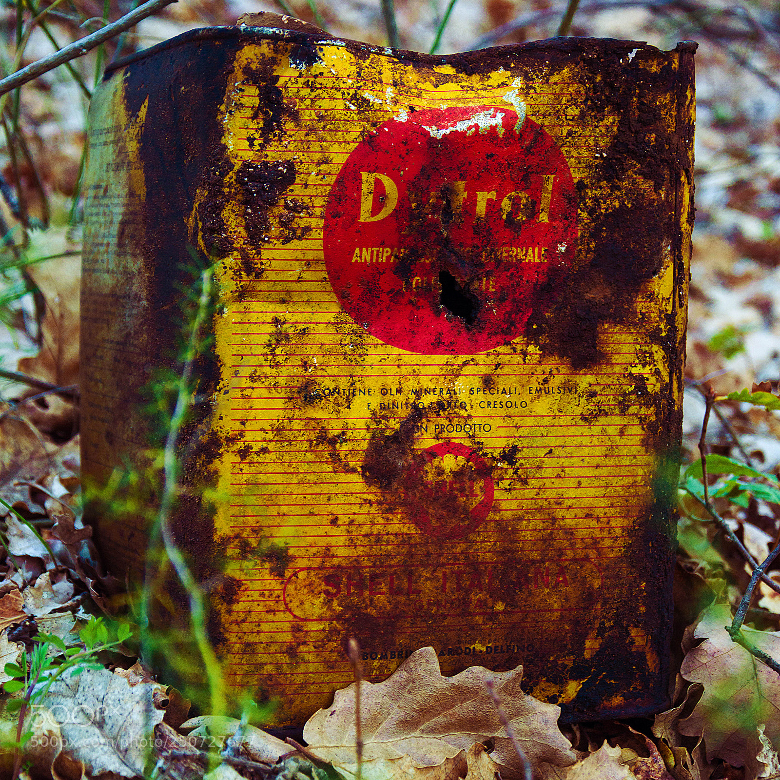 Nikon D3200 sample photo. Latta nel bosco photography
