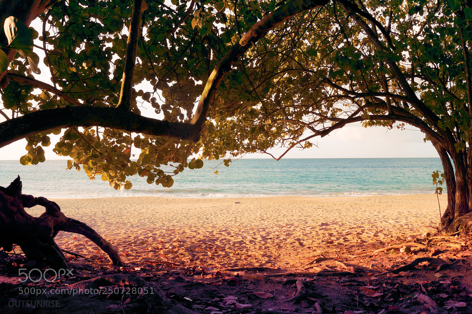 Sony SLT-A65 (SLT-A65V) sample photo. Seashore by outsunrise photography