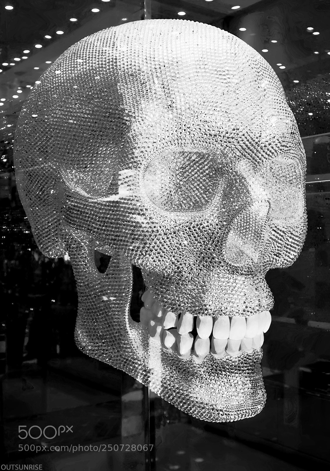 Sony SLT-A65 (SLT-A65V) sample photo. Skull by outsunrise photography