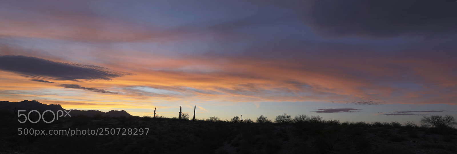 Canon EOS 5D Mark IV sample photo. End of day sonoran photography