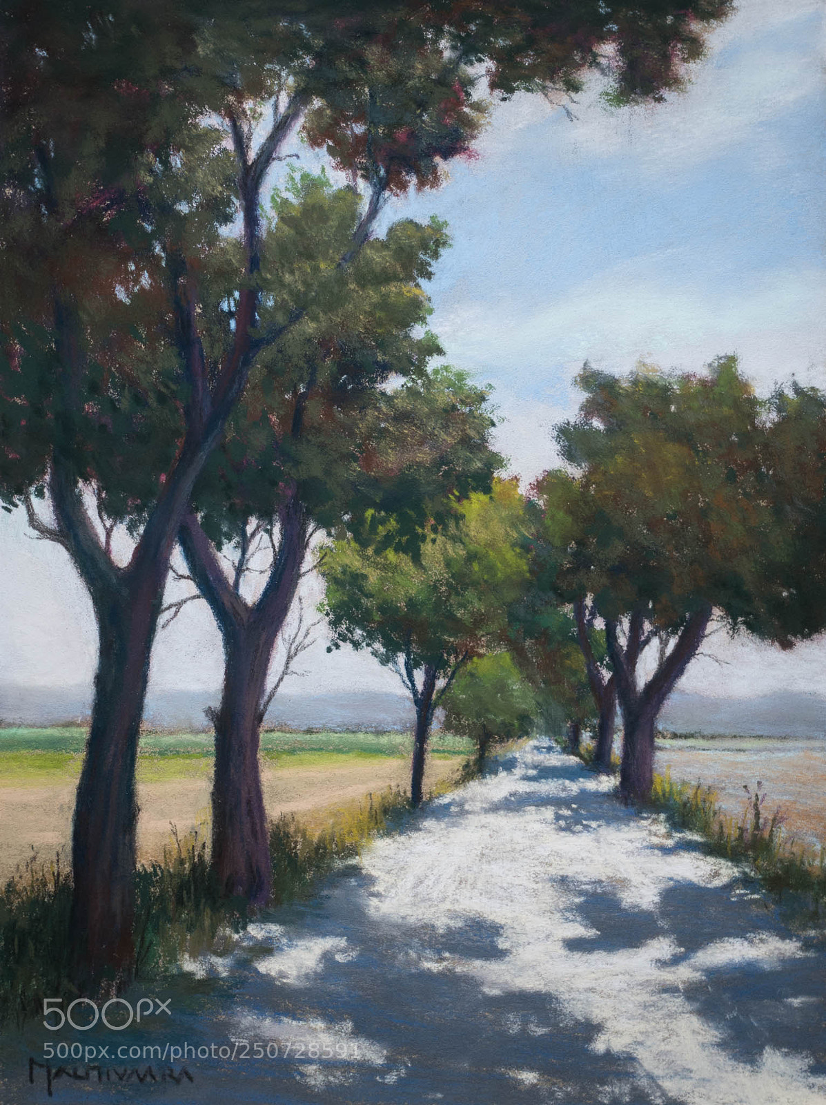 Sony Cyber-shot DSC-RX100 III sample photo. Tree alley in provence photography