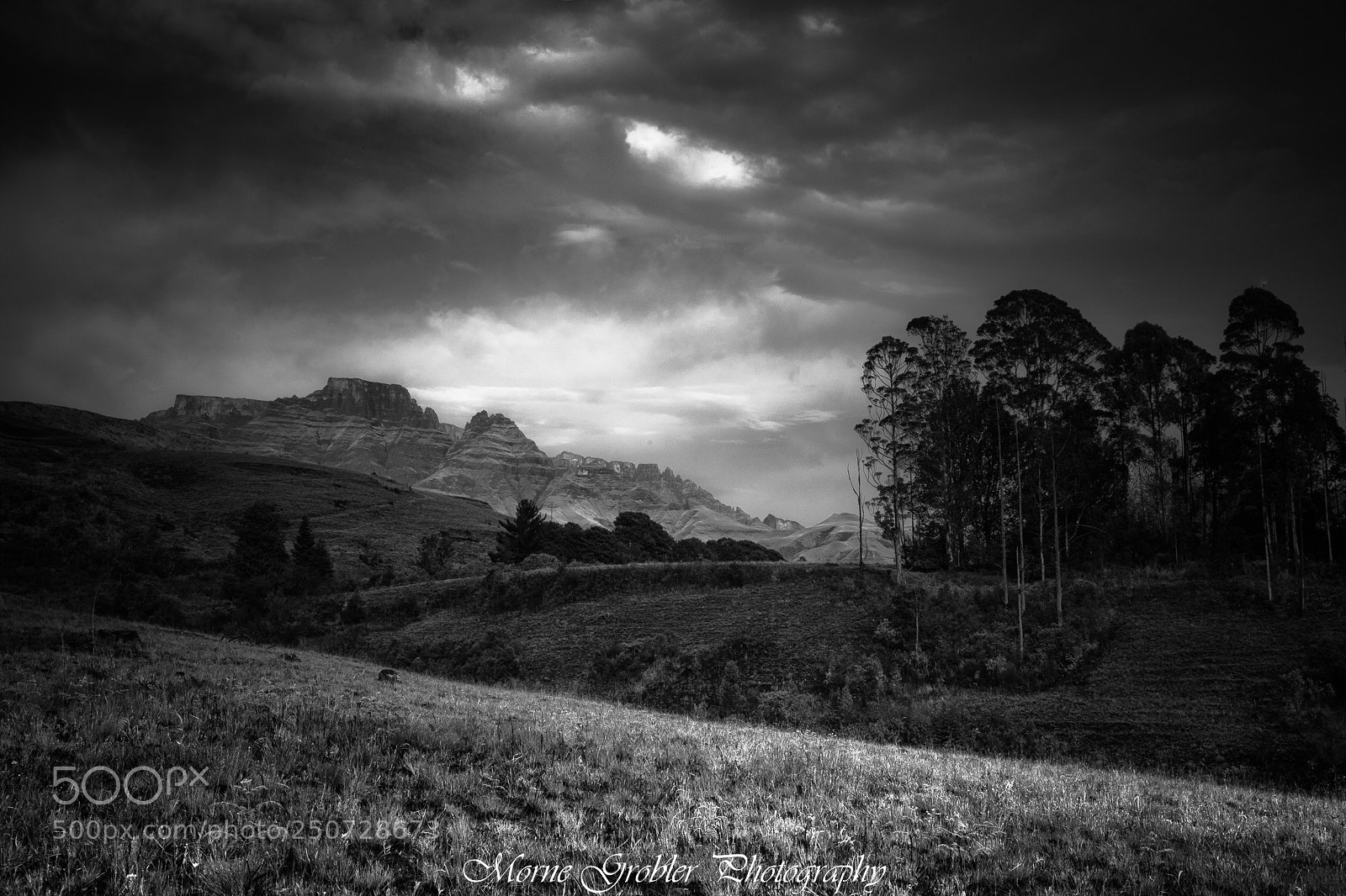 Canon EOS 5D Mark II sample photo. An unexpected journey photography