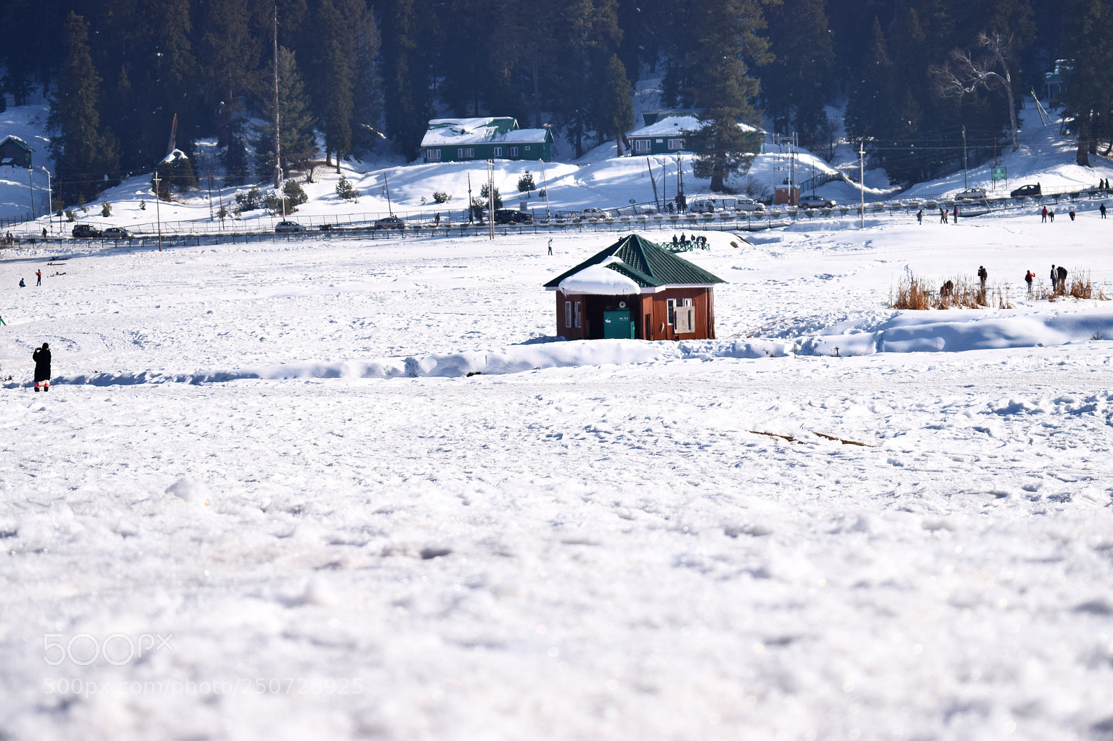 Nikon D3300 sample photo. Snow at gulmarg kashmir photography