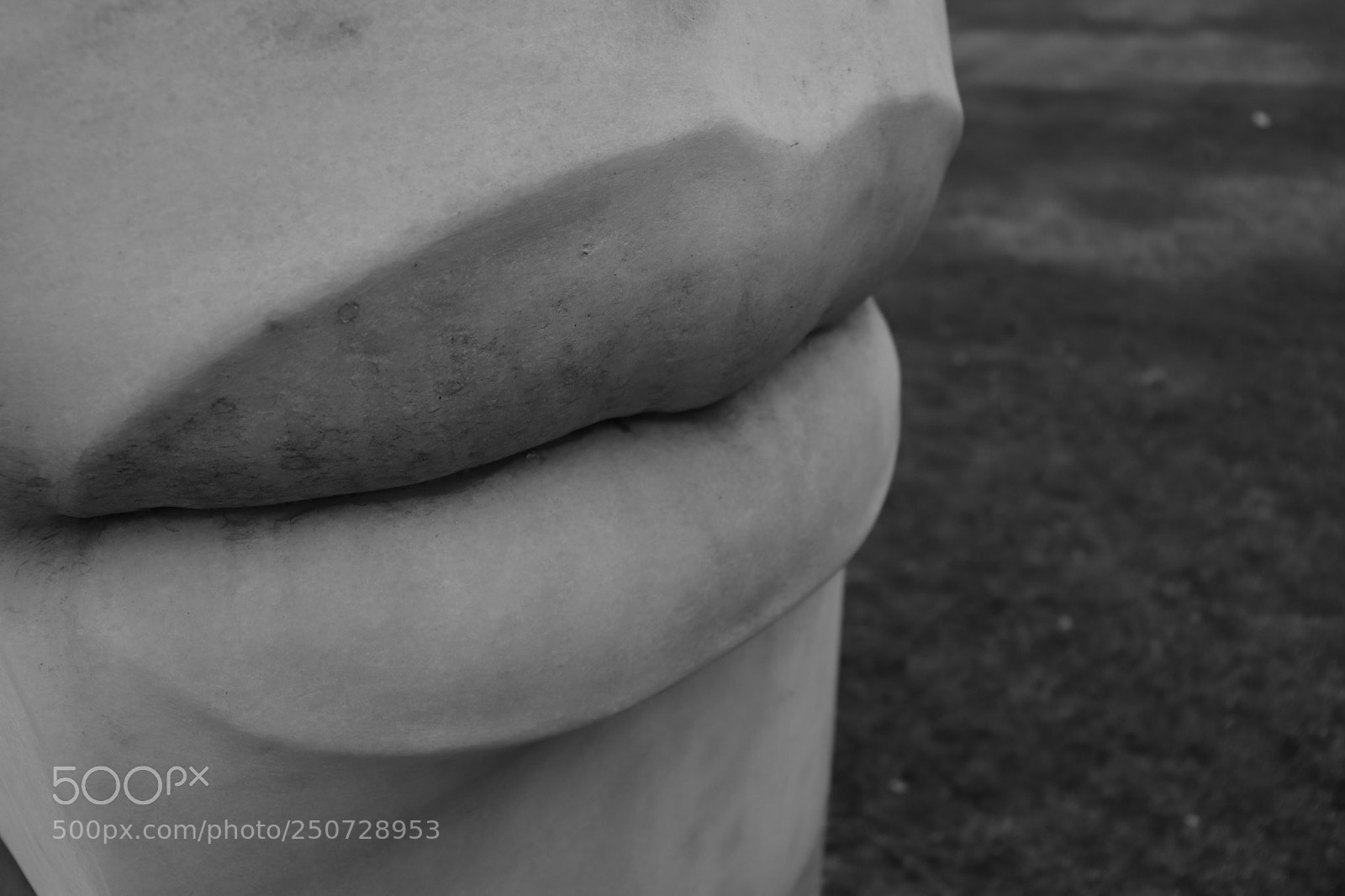 Canon EOS 200D (EOS Rebel SL2 / EOS Kiss X9) sample photo. The big lip photography