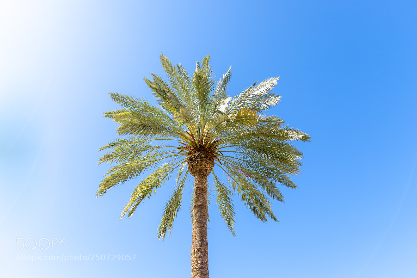 Canon EOS 6D Mark II sample photo. Meloneras, maspalomas, spain photography