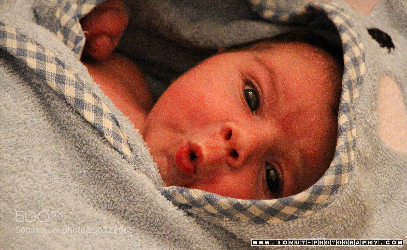 Canon EOS 650D (EOS Rebel T4i / EOS Kiss X6i) sample photo. Newborn photography