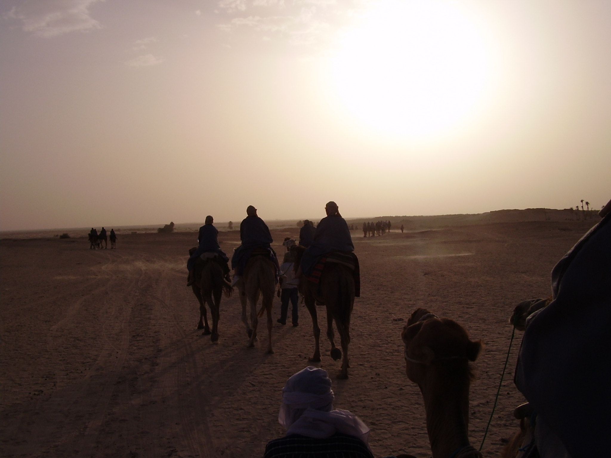 Olympus X450,D535Z,C370Z sample photo. Amazing journey photography