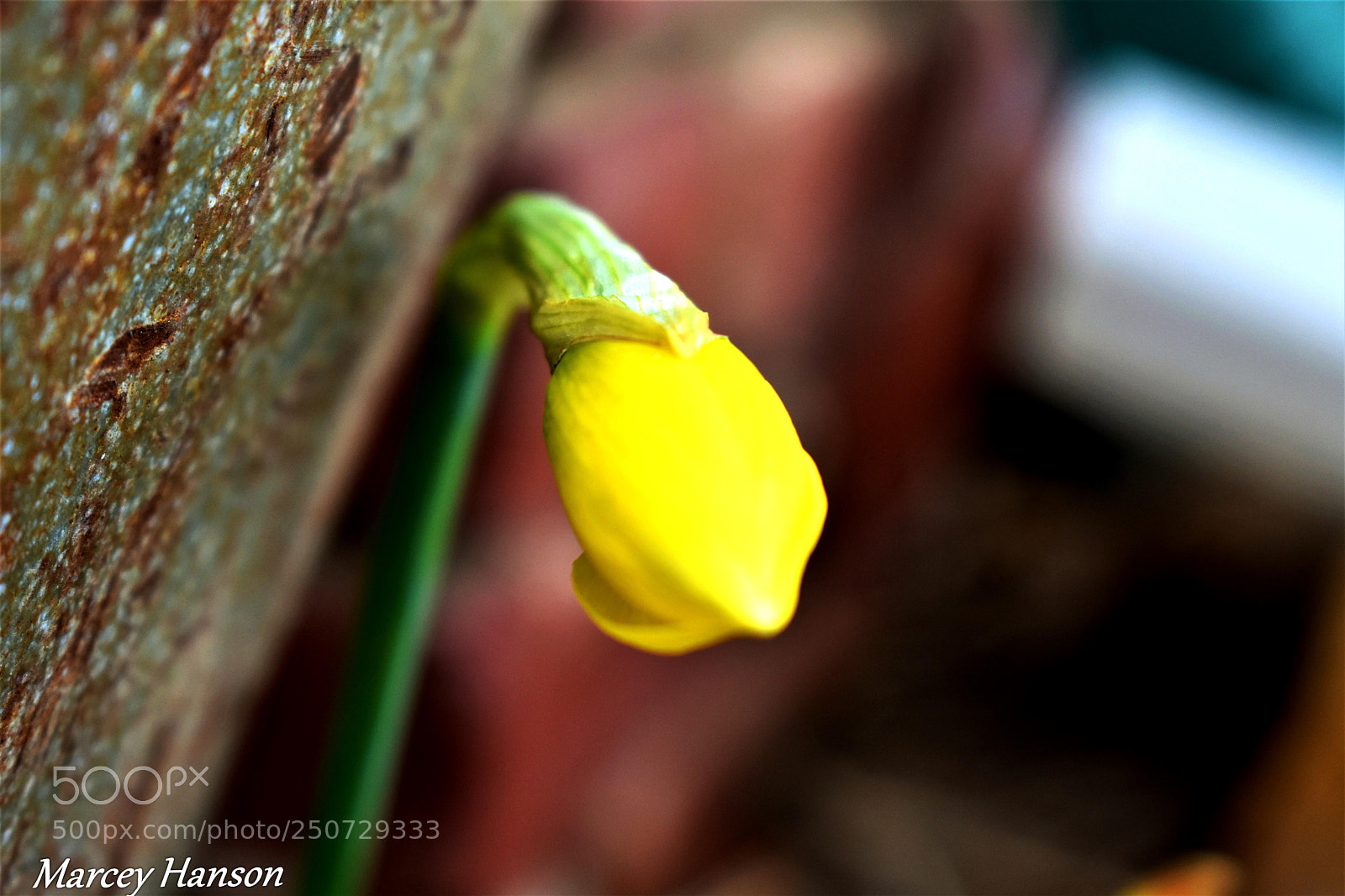 Nikon D3400 sample photo. 30.jpg photography