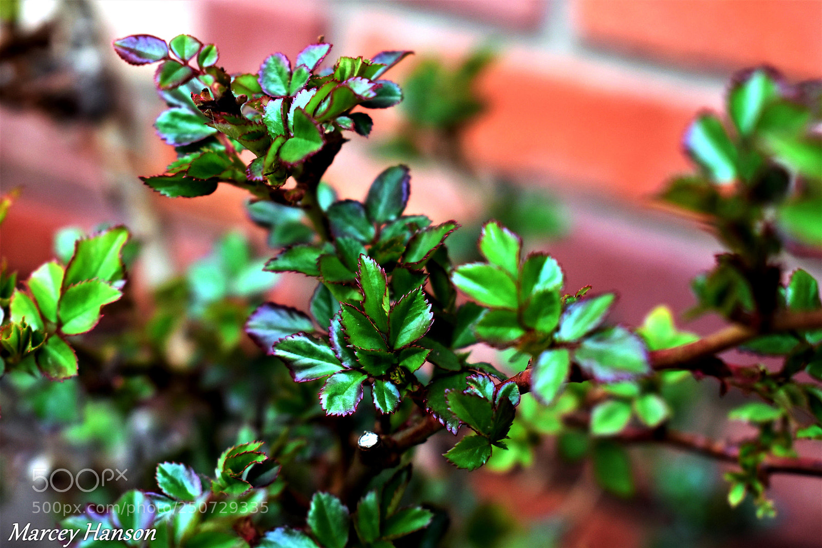 Nikon D3400 sample photo. 31.jpg photography