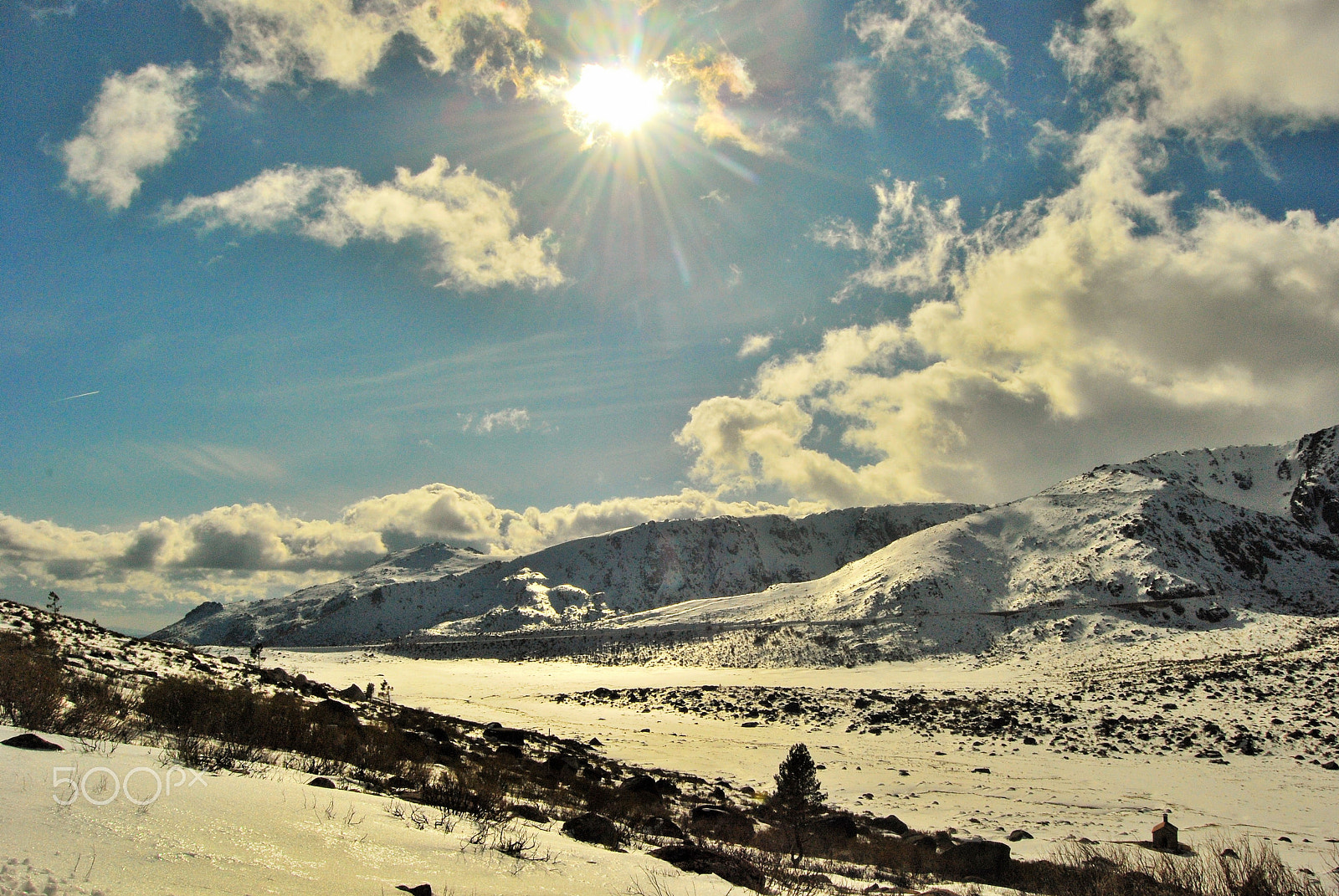Nikon D60 sample photo. Chilling in the snow.. photography