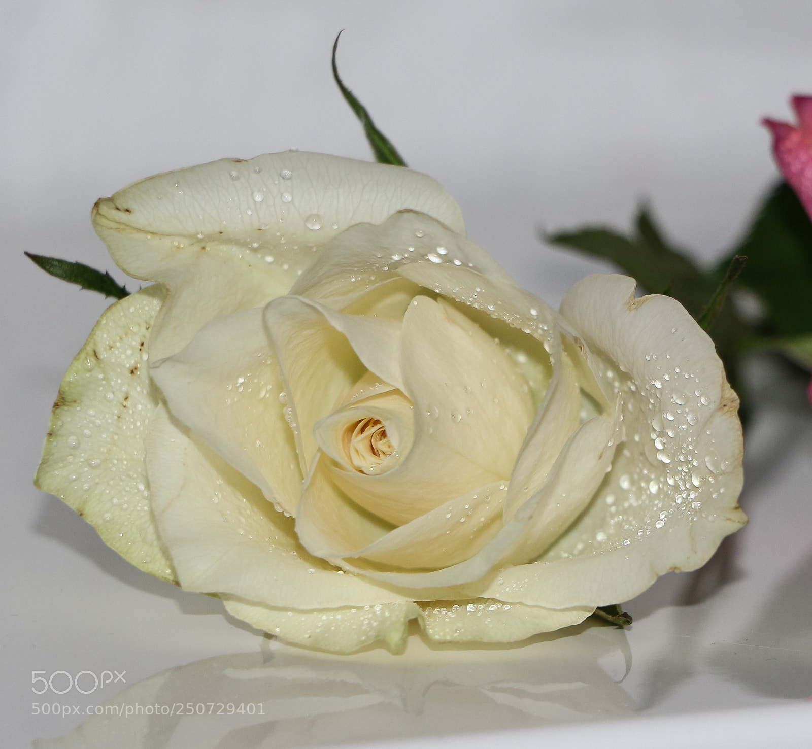 Canon EOS 700D (EOS Rebel T5i / EOS Kiss X7i) sample photo. ??? photography