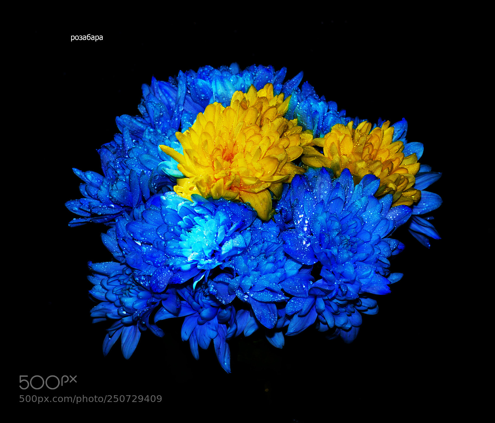 Nikon D3200 sample photo. красивое-красиво photography