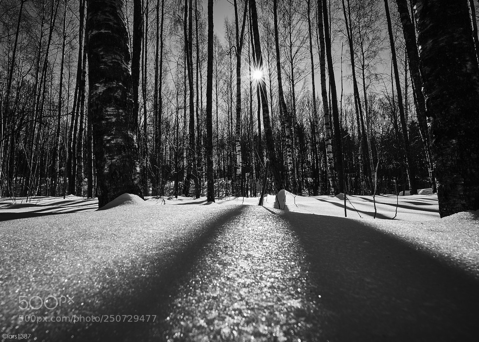 Sony a7R II sample photo. Long shadows photography