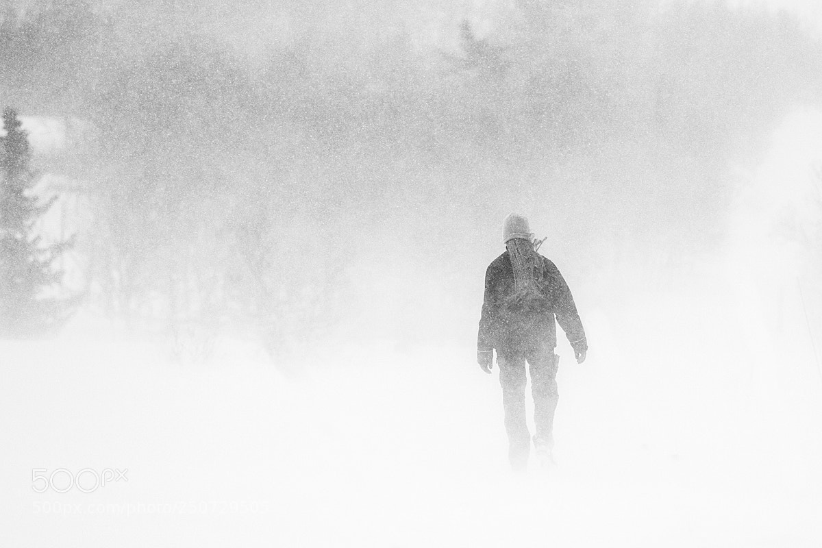 Canon EOS-1D Mark IV sample photo. Snow storm photography