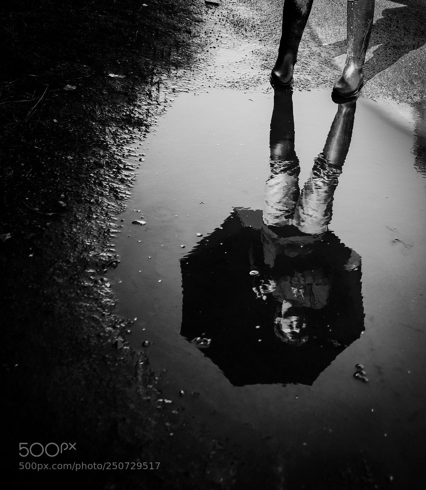 Canon EOS 6D Mark II sample photo. In the puddle... photography