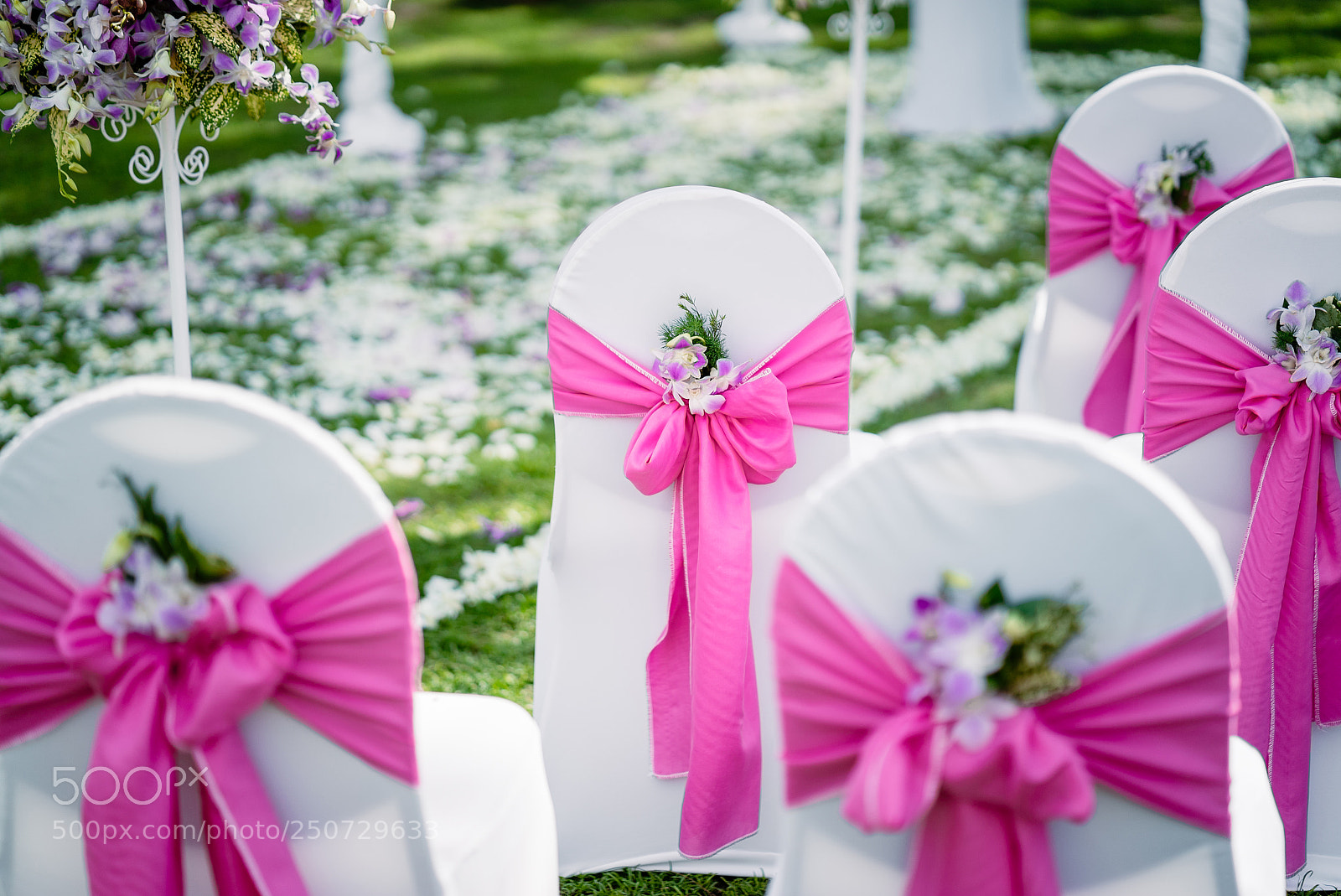 Sony a7S sample photo. Wedding banquet chairs in photography