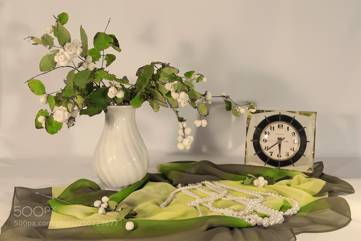 Canon EOS 600D (Rebel EOS T3i / EOS Kiss X5) sample photo. Натюрморт со снежником photography
