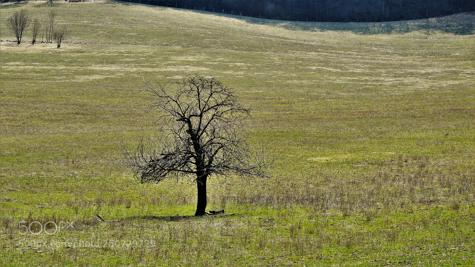 Nikon D3200 sample photo. Untitled photography