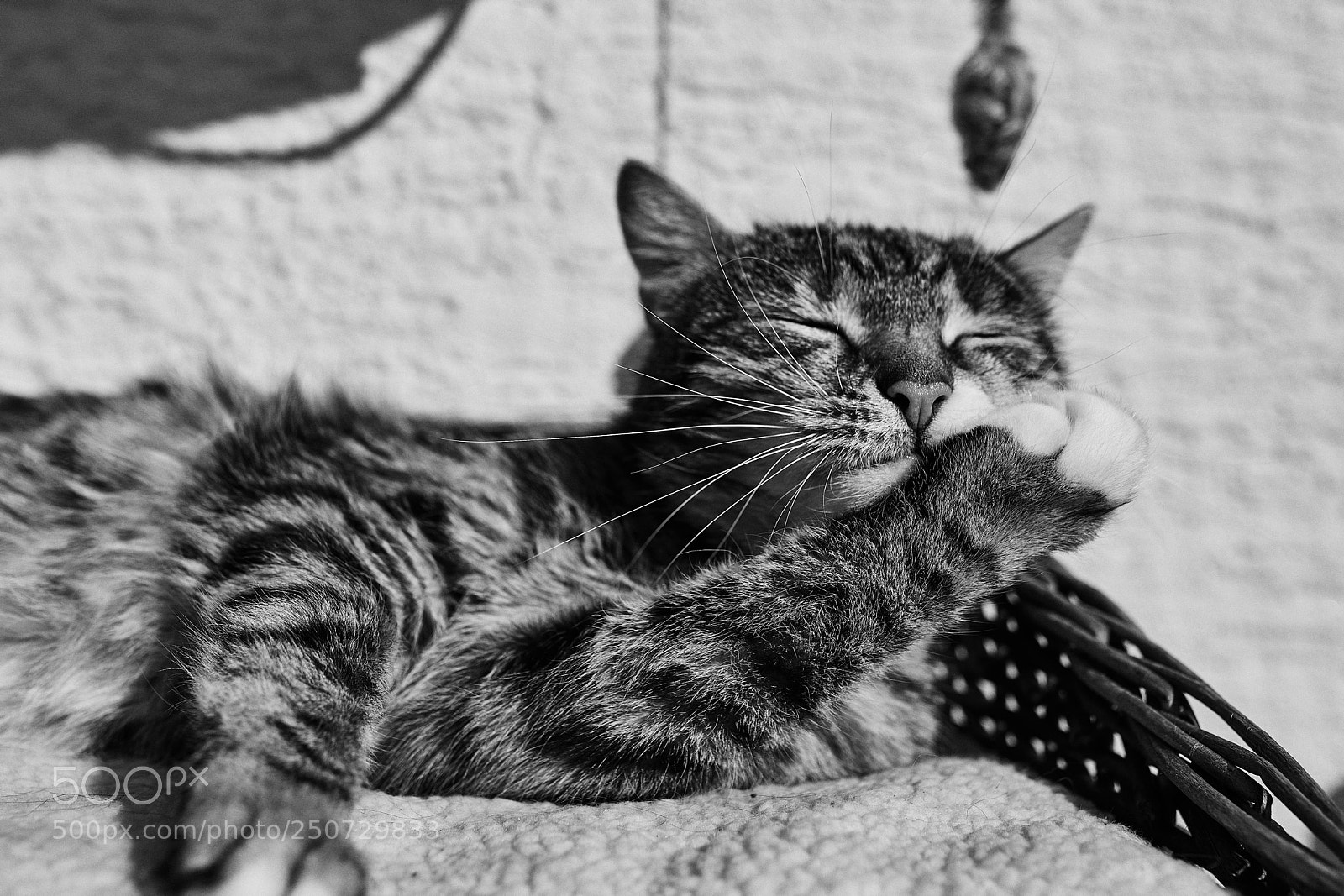 Canon EOS 5D Mark IV sample photo. Clarence photography