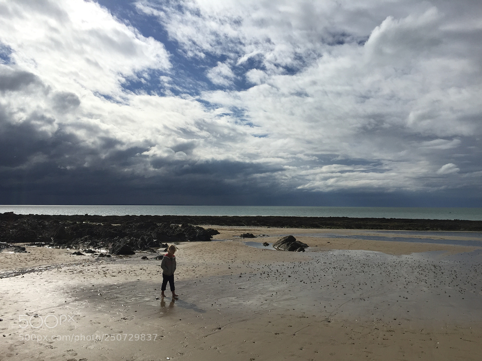 Apple iPhone 6 sample photo. Orage photography