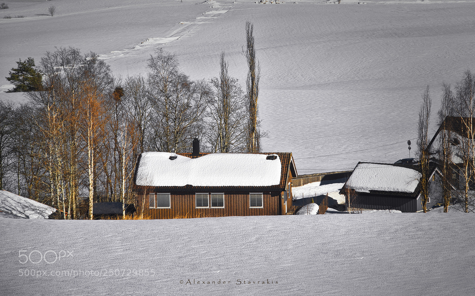 Nikon D3100 sample photo. Untitled photography