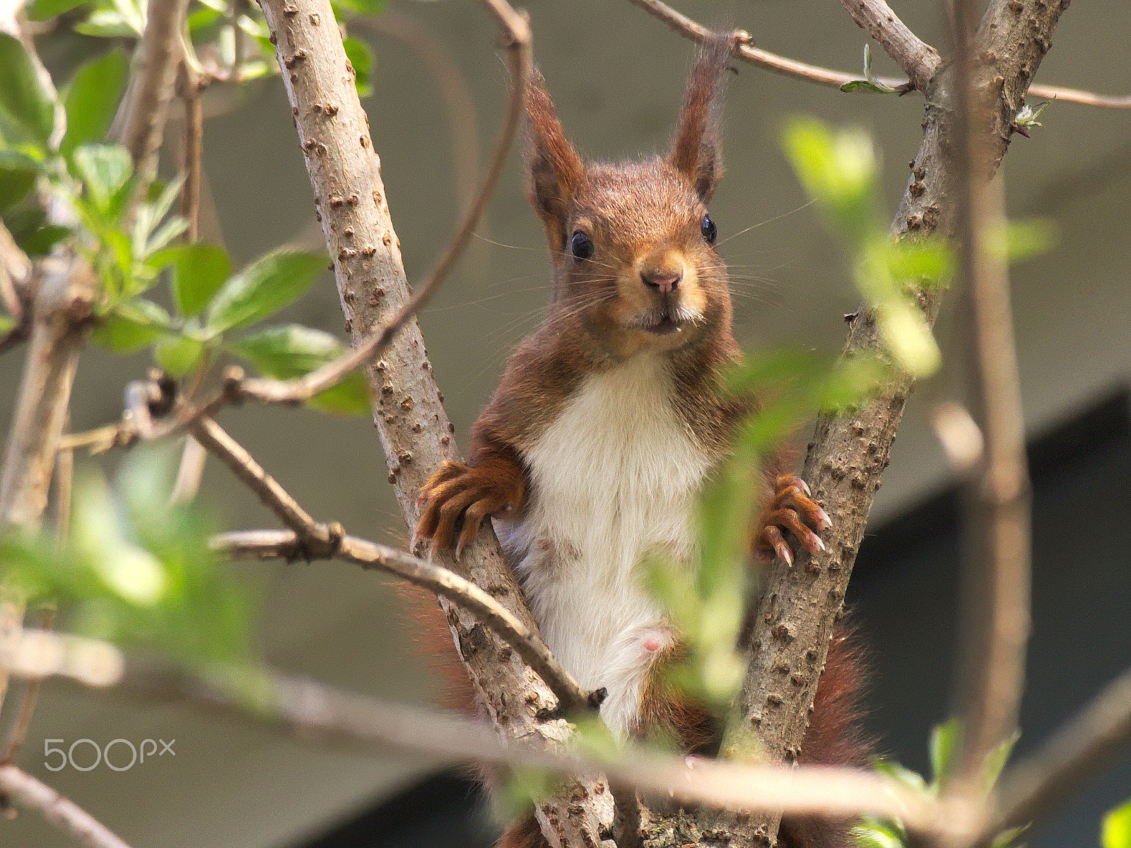 Canon EOS M10 sample photo. No titel photography